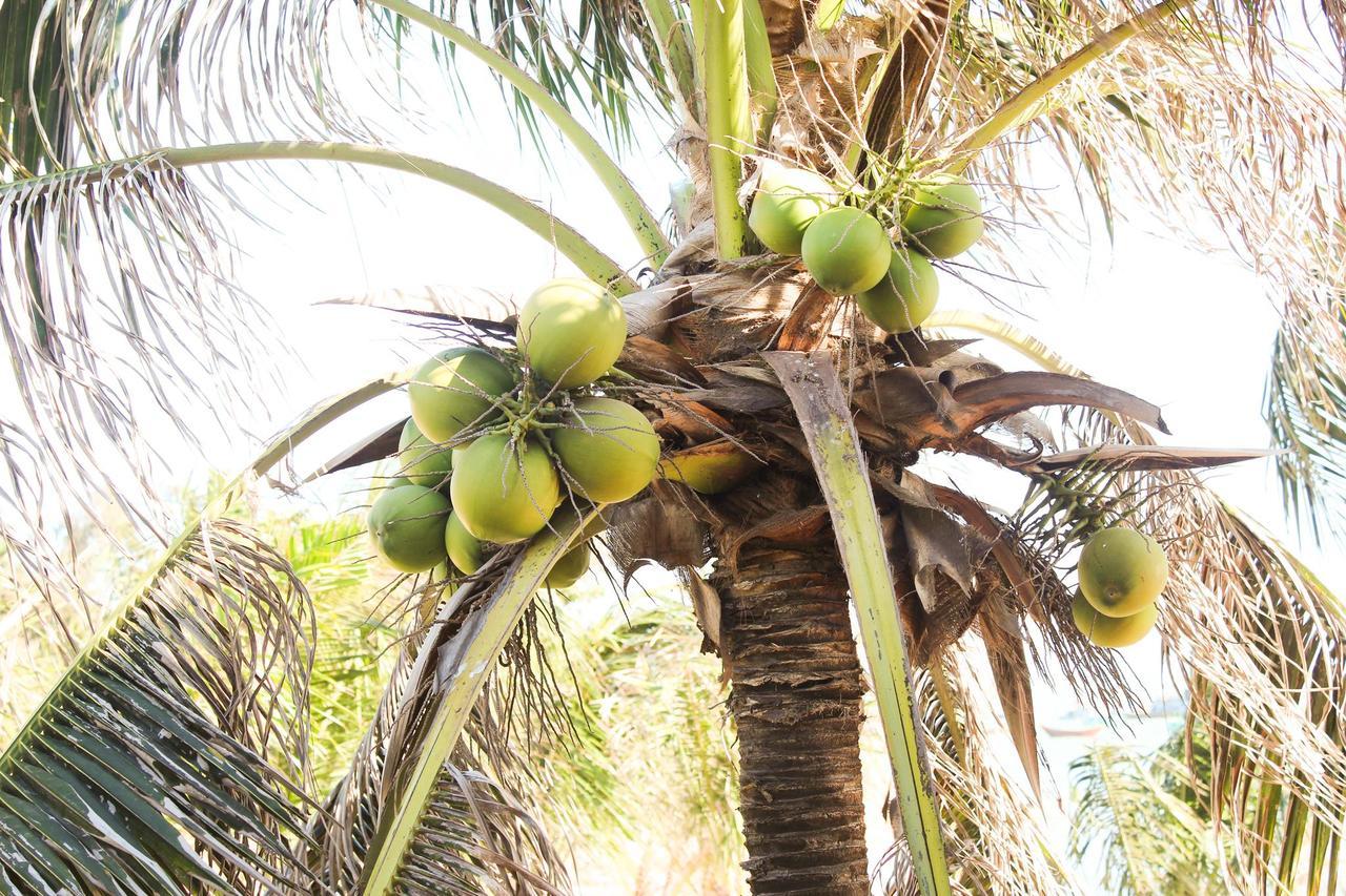 Eagles Beach Resort Phan Thiết Eksteriør billede